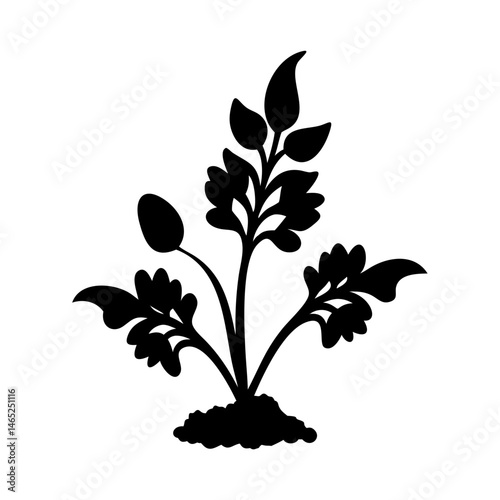 Black plant silhouette vector illustration of foliage flora botanical garden nature design element art