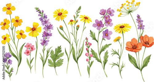 Bouquet of wildflowers and leaves, summer meadow background for design

