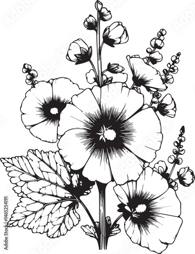 Flowers branch of Hollyhock, Hand-drawn vector illustration Vintage design element bouquet Hollyhock flower natural collection coloring page and book for adult and children isolate on white background