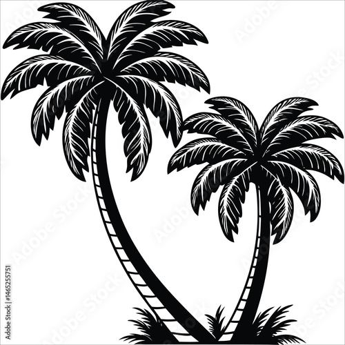 Black & White palm tree vector