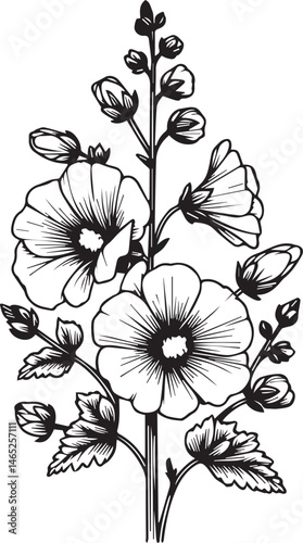 Hollyhock flower line art, flower coloring pages for adults, pretty flower coloring pages, hand-drawn Hollyhock flower, botanical Hollyhock black and white illustration, linework, lite blue Hollyhock