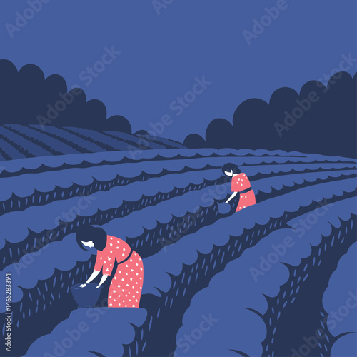 The women are working on tea garden