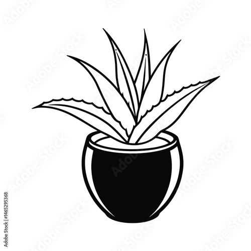 aloe vera plant coconut shell pot line art vector silhouette