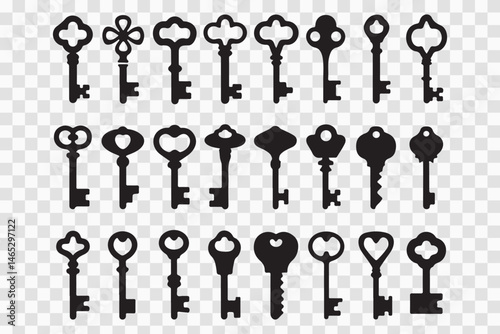 A vintage set of metal keys, including skeleton silhouettes, offers antique security for your house