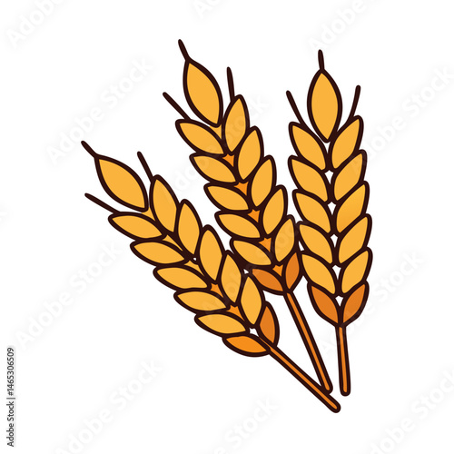 Isolated wheat vector illustration of wheat ears wheat stalks wheat field wheat harvest wheat