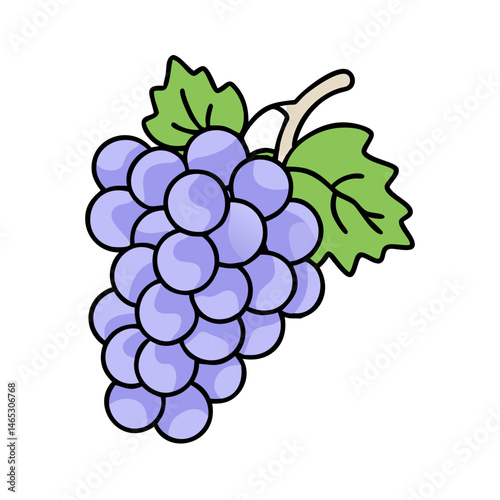 Illustration of fresh grapes, fruit, purple grapes, healthy food, sweet grapes, vine grapes, grapes art