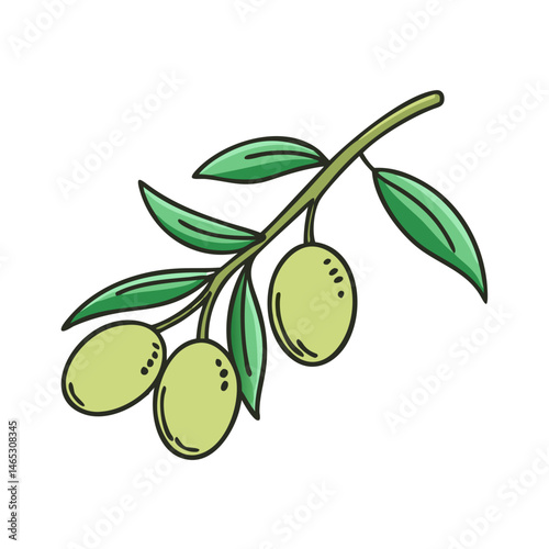 Illustration of olive branch with green olives and leaves for mediterranean food design art