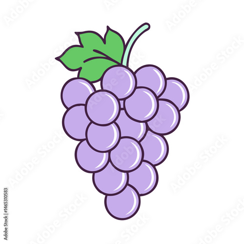 Illustration of grapes fruit bunch with leaf, purple grapes, fresh grapes, healthy grapes, vine
