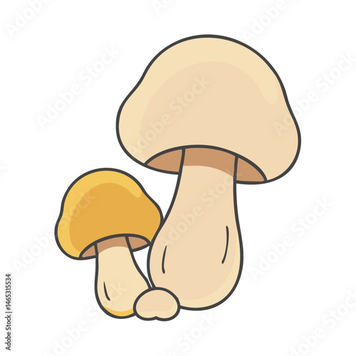 Illustration of mushroom fungi edible mushroom fungus forest mushrooms nature mushrooming autumn mushrooms