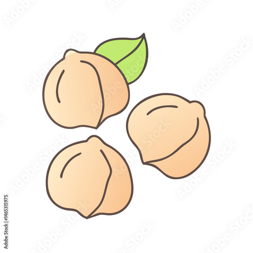 Delicious fresh chickpeas vector illustration healthy food ingredient legume plant based diet cooking