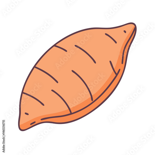 Isolated sweet potato yam vegetable food healthy diet nutrition agriculture harvest root crop ingredient recipe