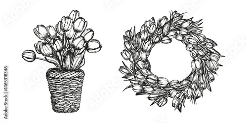 Basket full of tulips flowers sketch outline illustration. Tulip flowers spring doodle drawing in engraving style. Hand drawn vector line art clipart isolated on a white background