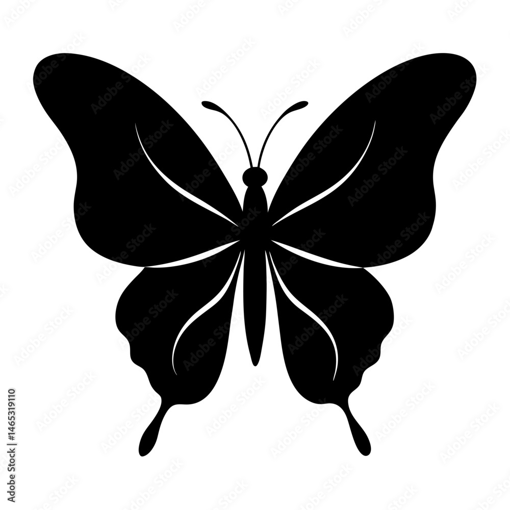 Abstract White Lines Design on Black Background