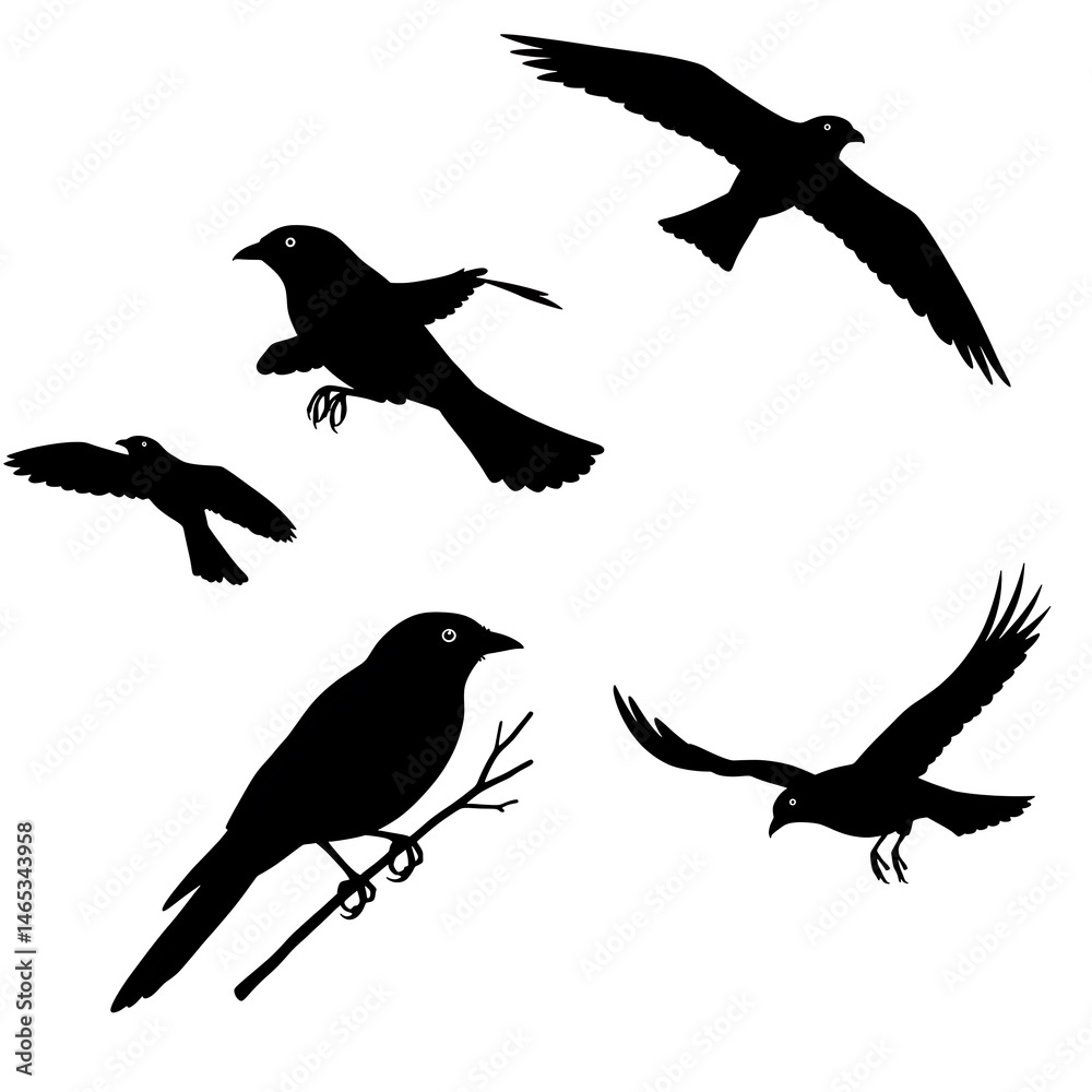 Fototapeta premium Flight of Shadows AI Generated