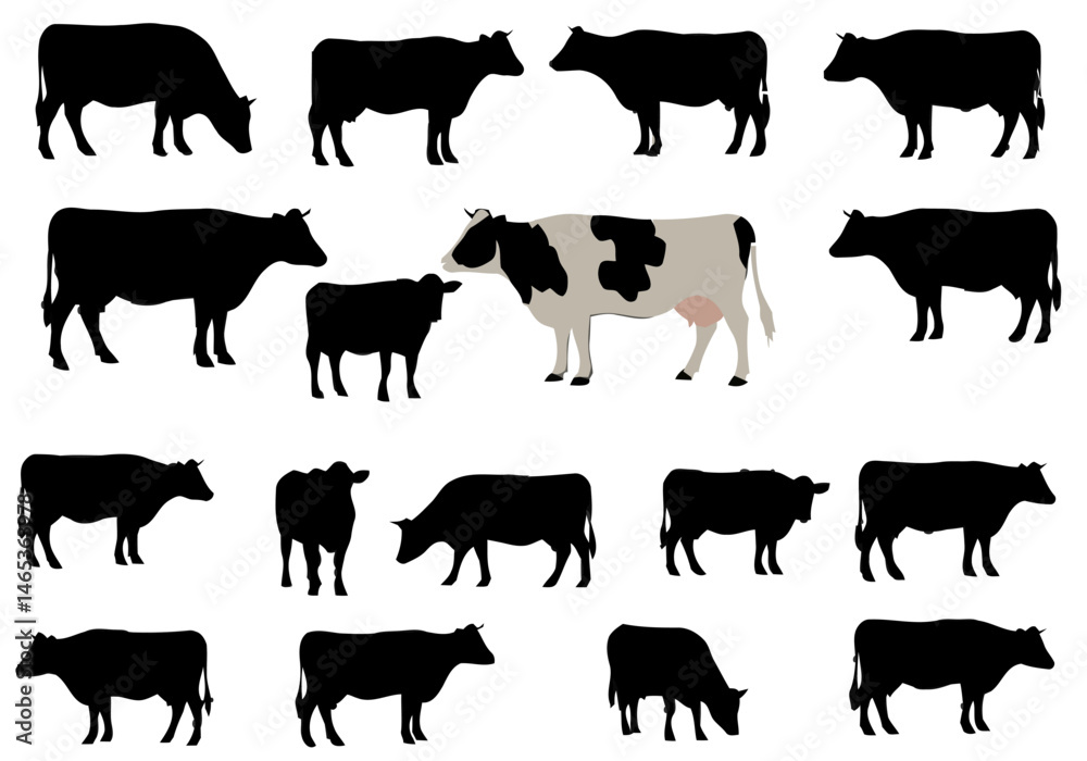 Examining the Black and White Pattern Variation Among Cows A Study of Bovine Coat Coloration Genetic Diversity and Regional Distribution of Different Cow Populations Worldwide Examining the Black and White Pattern Variation Among Cows A Study of Bovine Coat Coloration Genetic Diversity and Regional Distribution of Different Cow Populations Worldwide