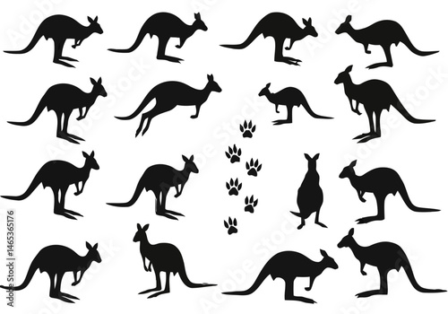Wildlife Animal Kingdom Displaying Australian Kangaroo Species in Natural Habitat Featuring Silhouette Against Dark Background Providing an Artistic Rendering of Fauna with Footprints	