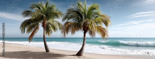 Relax on a beautiful tropical beach featuring white sand, palm trees, and a serene blue sky, ideal for summer vacation designs