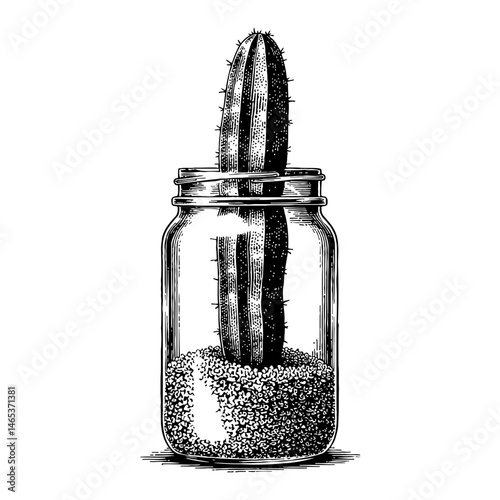 Cactus Inside a Jar Black and White Outline Line Art Drawing Illustration with Detail Hand Drawn