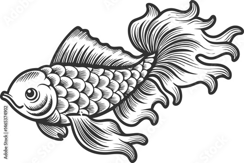 Traditional engraved illustration of a koi or trout fish with natural scales, flowing fins, and ripple lines in classic vintage style

