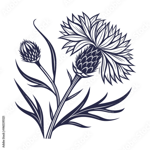 A corn flower icon with spiky petals and a vibrant silhouette