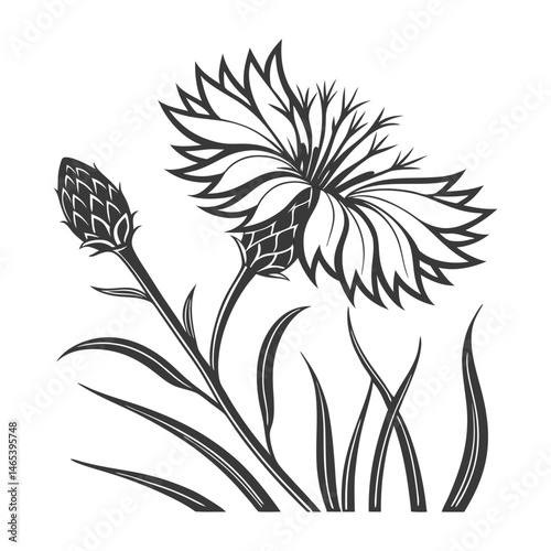 A corn flower icon with spiky petals and a vibrant silhouette