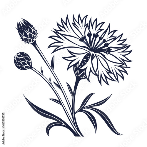 A corn flower icon with spiky petals and a vibrant silhouette