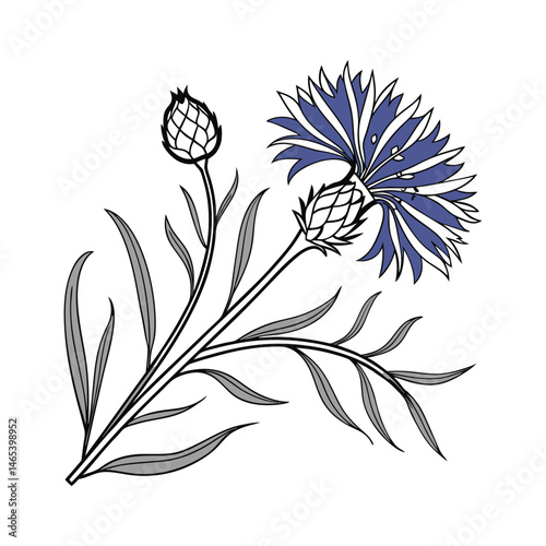 A corn flower icon with spiky petals and a vibrant silhouette