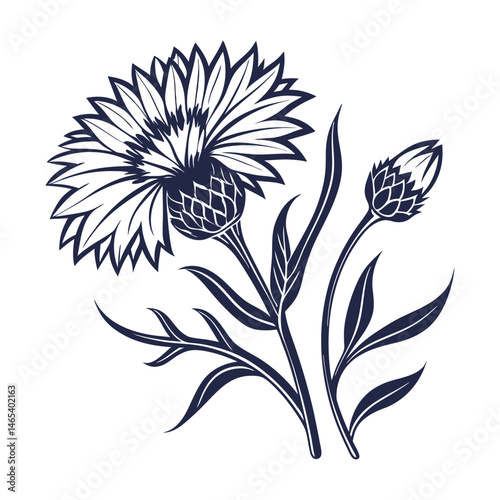 A corn flower icon with spiky petals and a vibrant silhouette