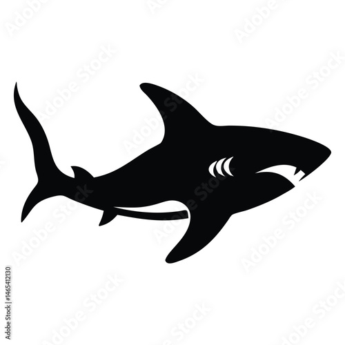 A fierce silhouette of a shark swimming is featured, showing its menacing teeth clearly