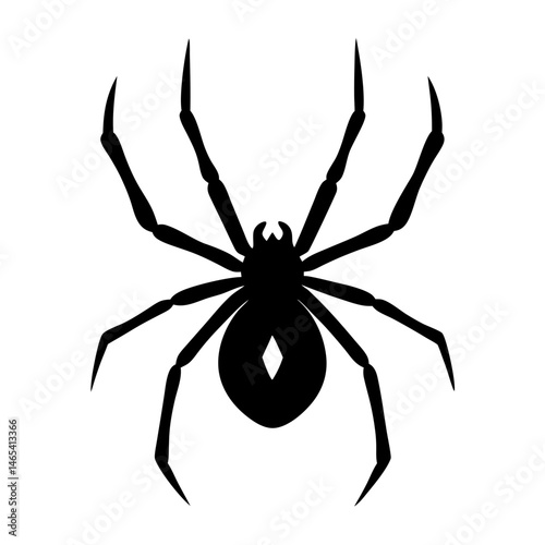 Stylized black widow spider with diamond marking in vector format