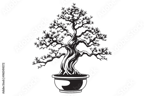 Bonsai beautiful vector illustration, drawing