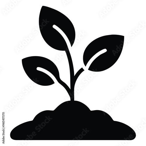 A small seedling grows in the soil, showing nature's resilience and the beginning of new life