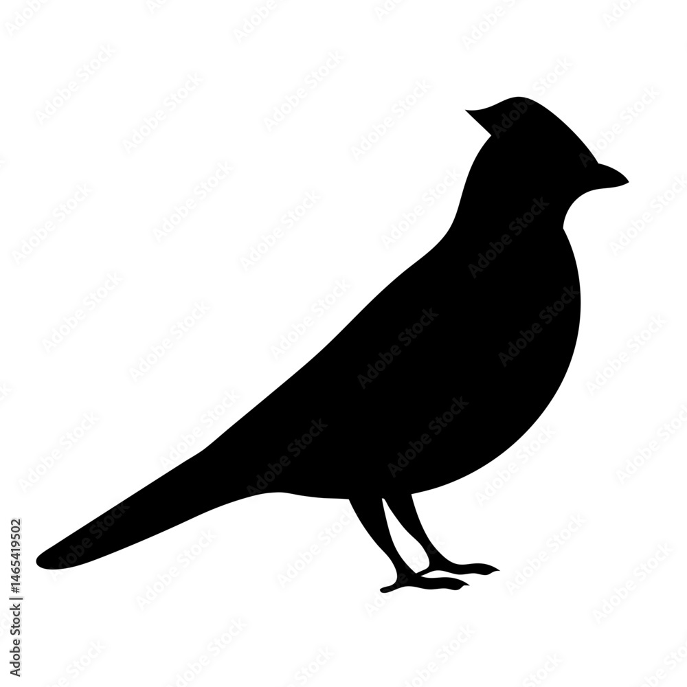 Obraz premium Elegant black silhouette of a cardinal bird with crest on white background