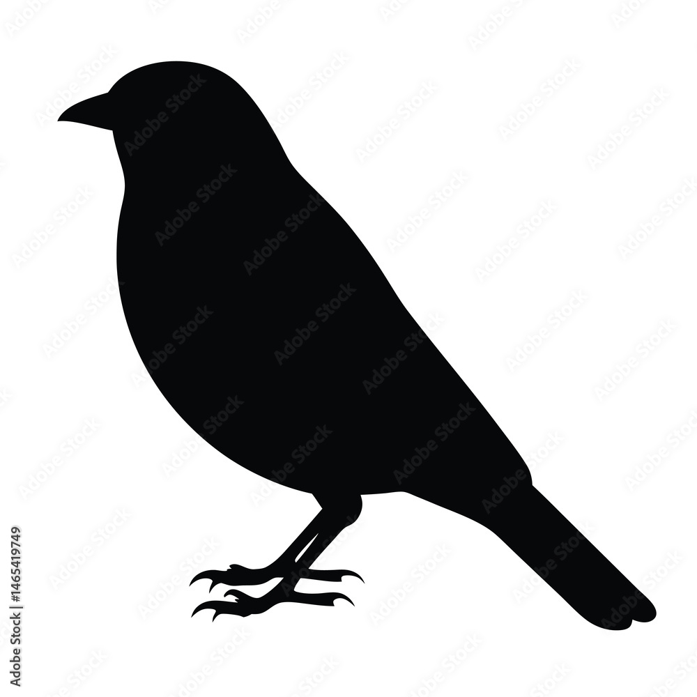 Fototapeta premium Silhouette of a bird, potentially a finch or sparrow, standing at rest