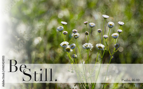 Bild auf Leinwand Be Still and Know that I Am God llustration with Psalm 46:10 and wildflowers