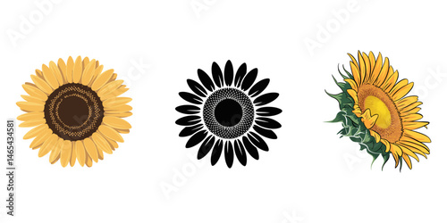 sunflower vector illustration, sunflower illustration svg vector, The Seamless pattern of sunflower and leaf on background. The seamless pattern sunflower. Seamless pattern leaf. shape of leaf.