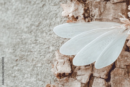 Obraz na płótnie Close-up of Insect Wing Detail Resting Next to Textured Tree Bark in Natural Setting w salonie
