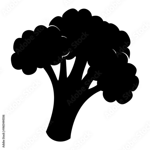 A Black and White Silhouette of a Single Head of Broccoli