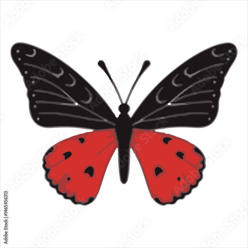 A butterfly with elaborate markings in gold and black