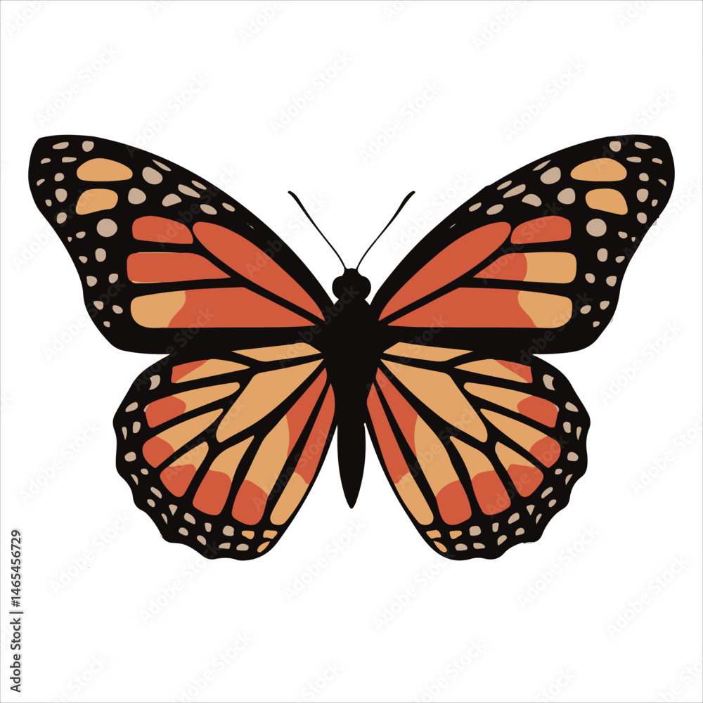 Fototapeta premium Formats for Graphic Images