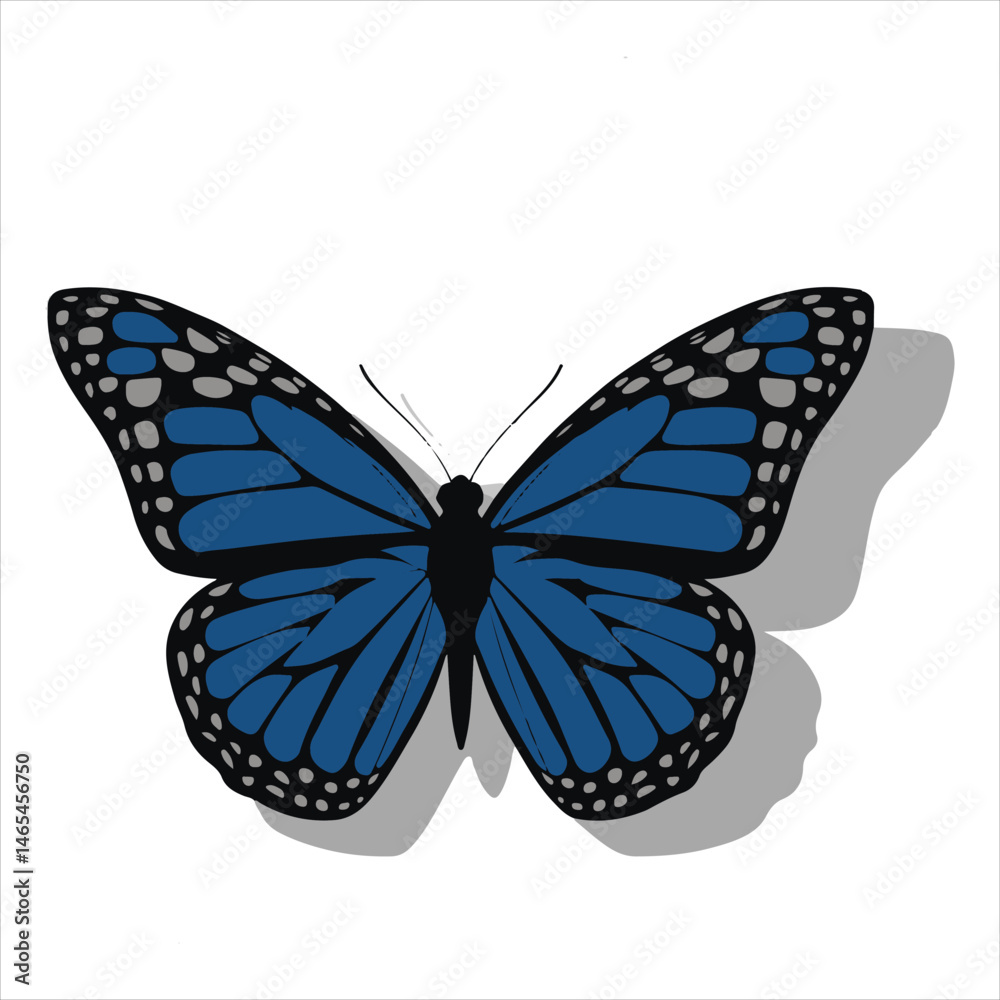 Fototapeta premium Elegant Wings, Black Butterfly Mark, Mystique in Motion Butterfly Design