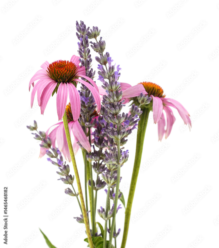 Fototapeta premium Echinacea and lavender bouquet.