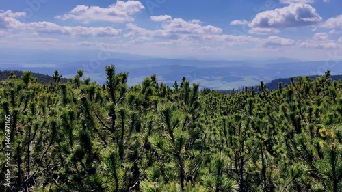 View of the Tatra Mountains with a beautiful landscape on a sunny day.