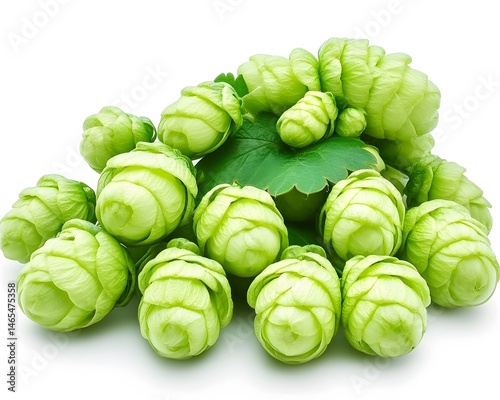 Fresh Green Hops Cones Closeup Photography Still Life