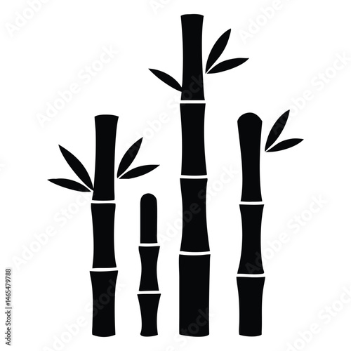 Several black bamboo stalks stand gracefully, complemented by delicate leaves, on a clean white backdrop