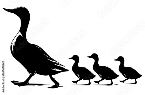 A black and white silhouette of a duck and ducklings following it on a white isolated background. Vector graphics. EPS.