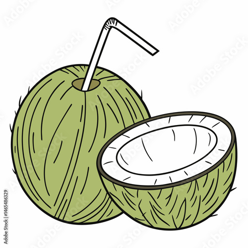 Green Coconut Adobe Illustrator Artwork photo