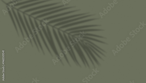 shadow from plant branches on green background