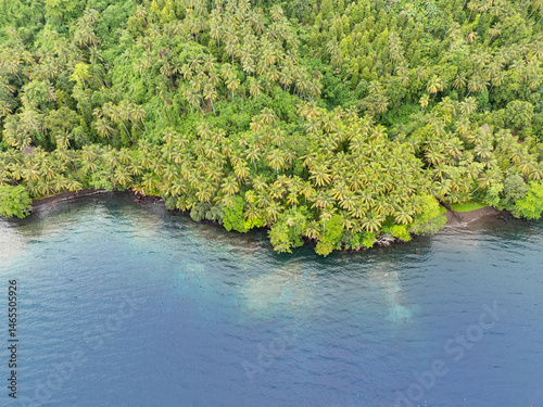 An extensive rainforest covers a remote, tropical island near Halmahera, Indonesia.This beautiful area is home to extraordinary marine and terrestrial biodiversity.