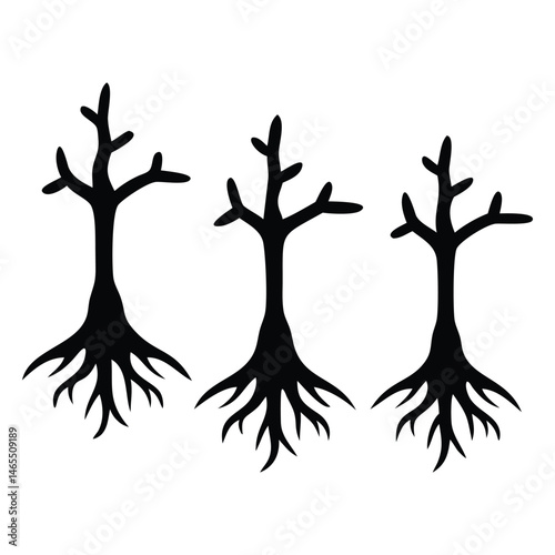 Three bare black tree silhouettes each with branches and roots are illustrated perfectly